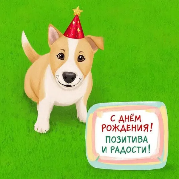 Весёлый пёсик с праздничным колпачком - С Днём Рождения, очаровашка! Позитива и радости!