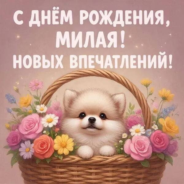 Милый щенок в цветочной корзинке - С Днём Рождения, милая! Новых впечатлений!