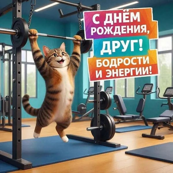 Спортивный кот в спортзале. С днём рождения, друг! Бодрости и энергии! 
