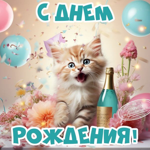 Праздничная открытка, пушистый котенок, воздушные шары