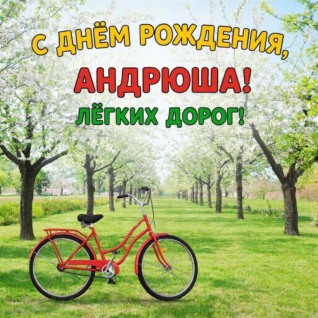 Велосипед у аллеи — С днём рождения, Андрюша! Лёгких дорог.
