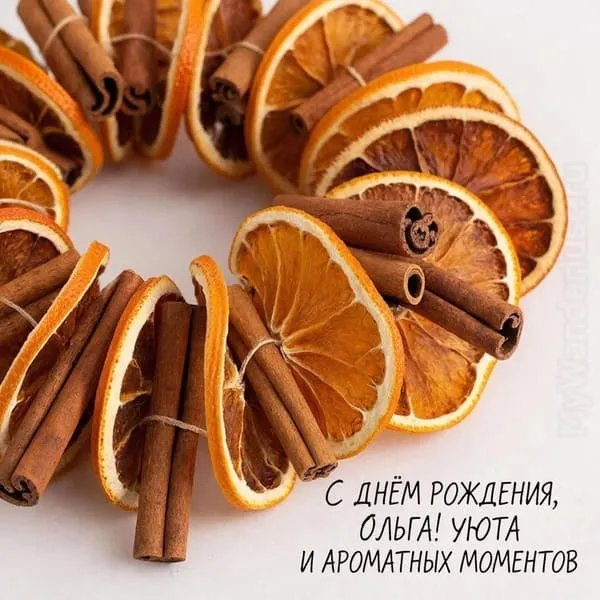 Гирлянда из сушёных апельсинов и корицы — подпись: С днём рождения, Ольга! Тепла, уюта и ароматных моментов.