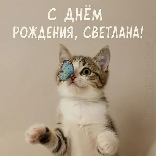 Котёнок с красивой бабочкой на носу — надпись С Днём Рождения, Светлана! рукописным шрифтом.