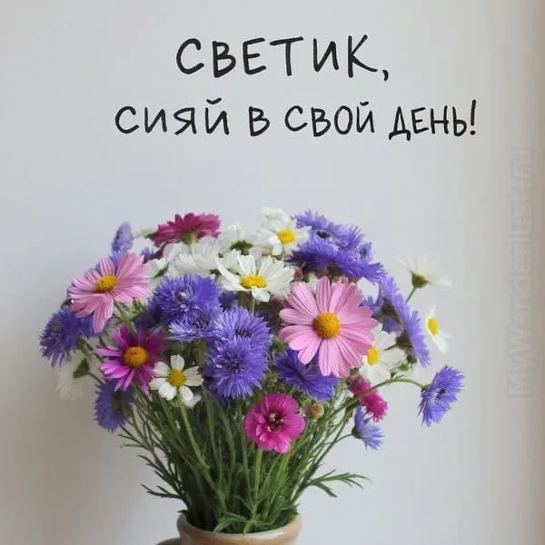 Букет ярких полевых цветов в вазе — текст Светик, сияй в свой день! аккуратным шрифтом.