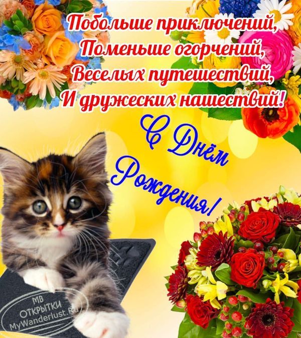 Яркий праздничный коллаж с прикольным котенком