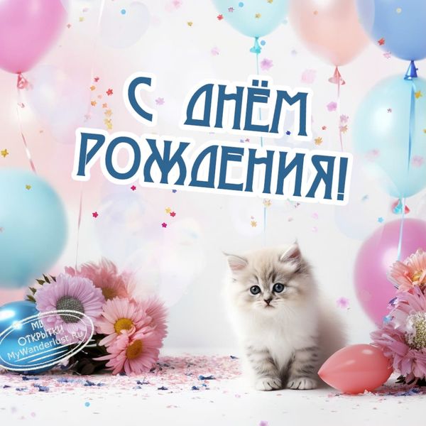 Котенок, воздушные шары, цветы, розовый фон, поздравительная открытка