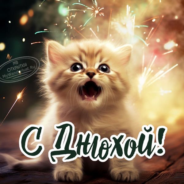 Смешной котенок, надпись с днюхой, открытка на праздник