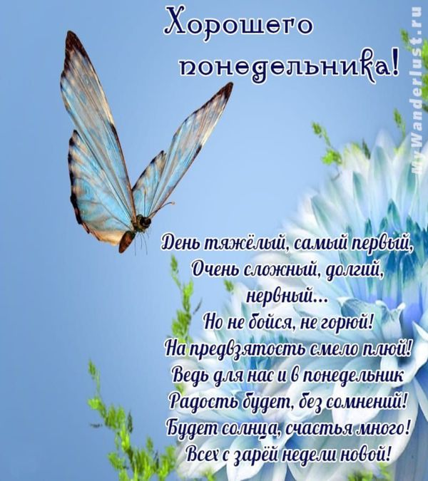 Бабочка на красивой открытке с пожеланием хорошего понедельника