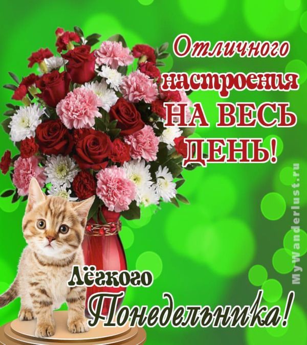 Котёнок и ваза с цветами на открытке лёгкого понедельника