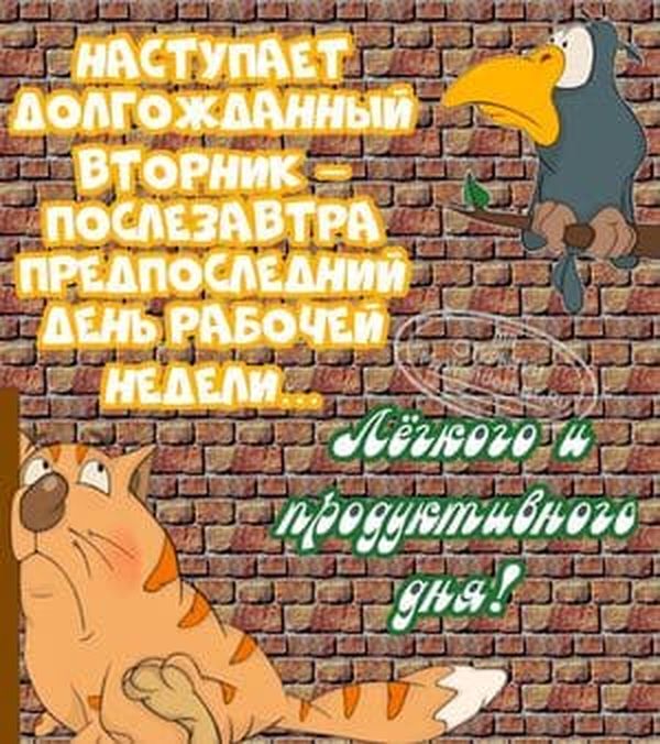 tues13