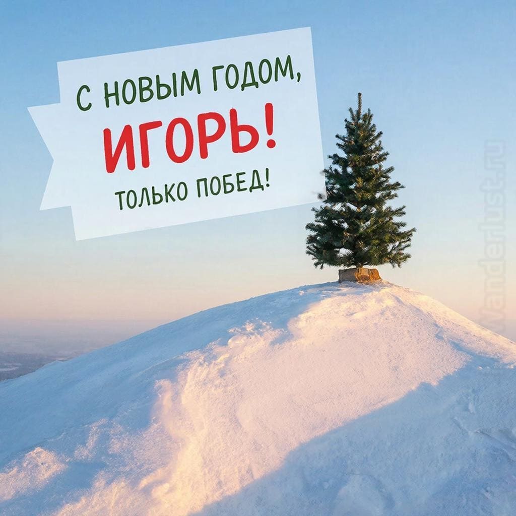Вершина холма, рассвет и праздничный флажок на ёлке — «С Новым годом, Игорь! Роста и развития!»