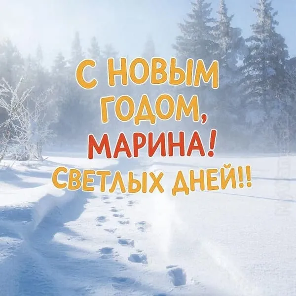 Снежное утро, дальние ели, тонкий туман и следы на свежем снегу — С Новым годом, Марина! Светлых дней!
