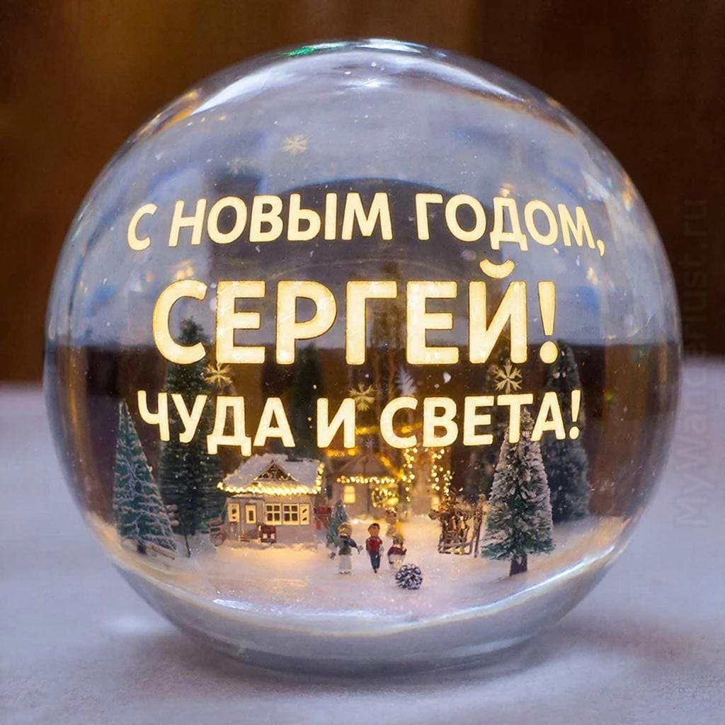 Стеклянный шар с миниатюрной зимней сценой внутри — «С Новым годом, Сережа! Чуда и света.»