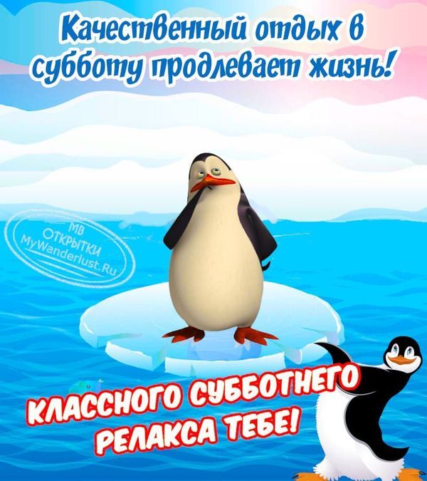 Прикольные пингвины на открытке с пожеланием классного субботнего релакса