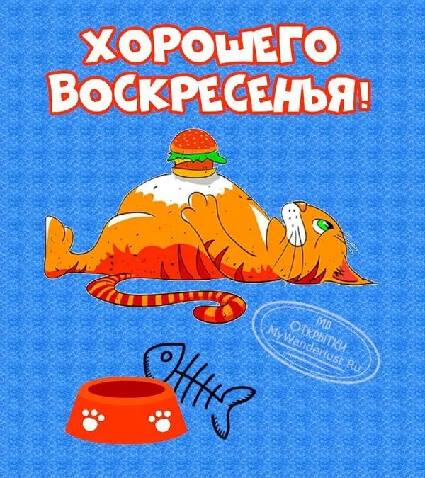 Картинка хорошего воскресенья с прикольным рыжим котом
