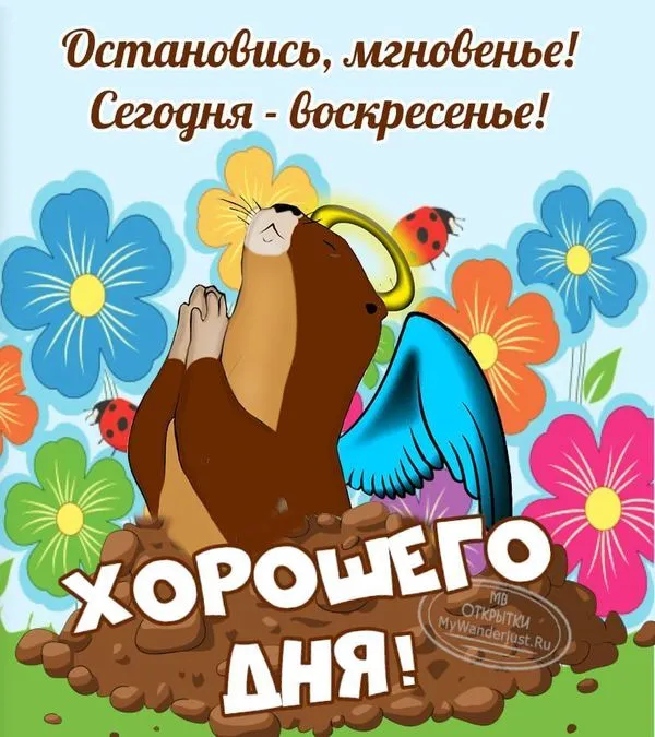 Остановись мгновенье, сегодня воскресенье. Прикольная картинка