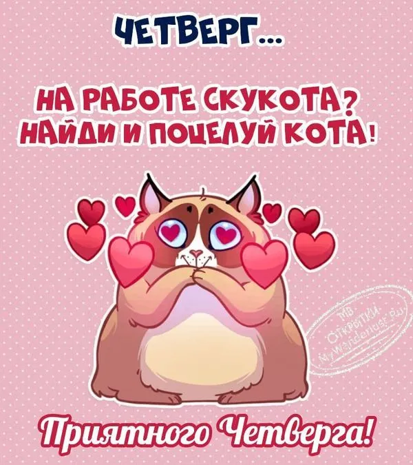 На работе скукота, иди и поцелуй кота. Открытка хорошего четверга