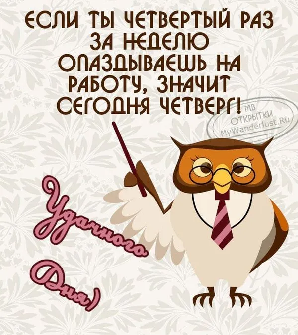 Сова желает удачного четверга