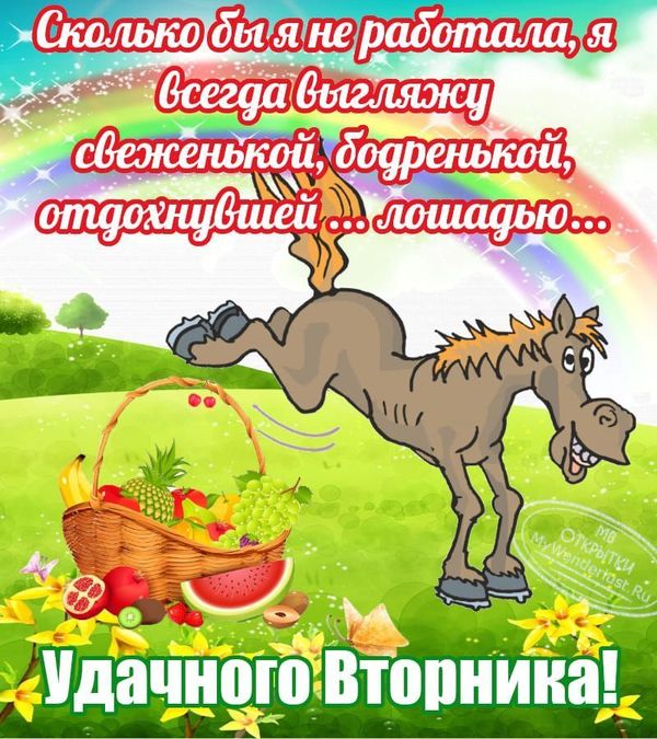 Бодрая лошадка на открытке с пожеланием удачного вторника