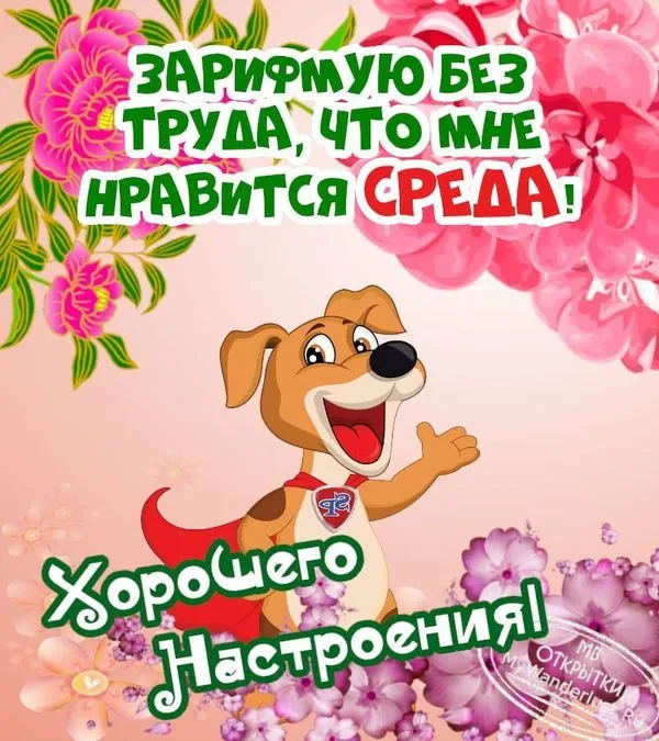 Зарифмую без труда, что мне нравится среда
