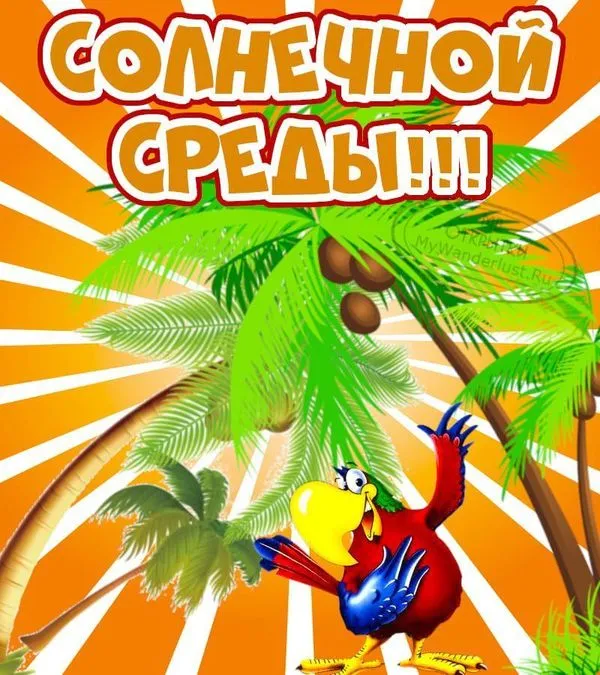Открытка солнечной среды
