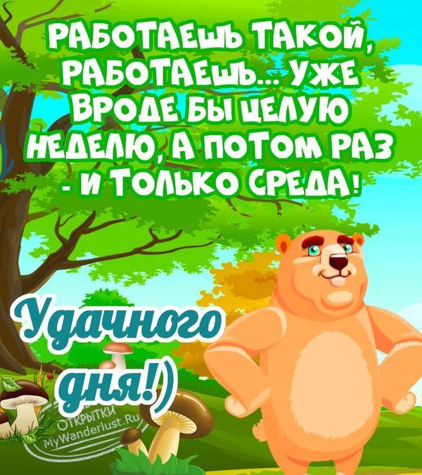 Медведь на прикольной открытке с пожеланием удачной среды
