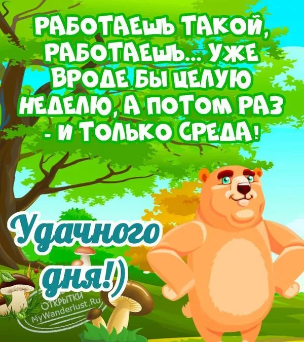 Прикольная картинка с пожеланием хорошей среды