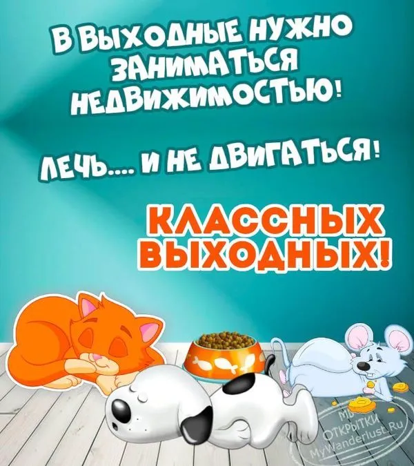 В выходные нужно заниматься недвижимостью.. Лечь и не двигаться